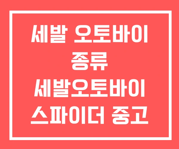 세발 오토바이 종류 세발오토바이 스파이더 중고 세발 오토바이 종류 세발오토바이 스파이더 중고