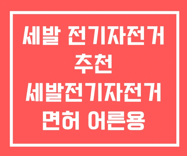 세발 전기자전거 추천 세발전기자전거 면허 어른용