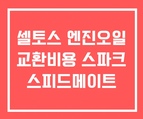 셀토스 엔진오일 교환비용 스파크 스피드메이트 셀토스 엔진오일 교환비용 스파크 스피드메이트