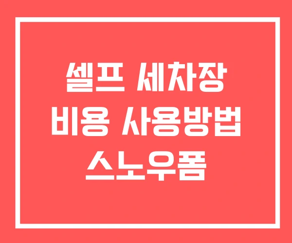 셀프 세차장 비용 사용방법 스노우폼