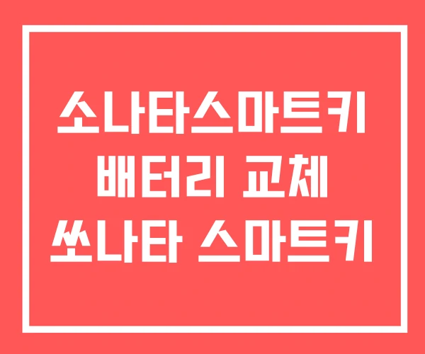 소나타스마트키 배터리 교체 쏘나타 스마트키