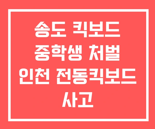 송도 킥보드 중학생 처벌 인천 전동킥보드 사고