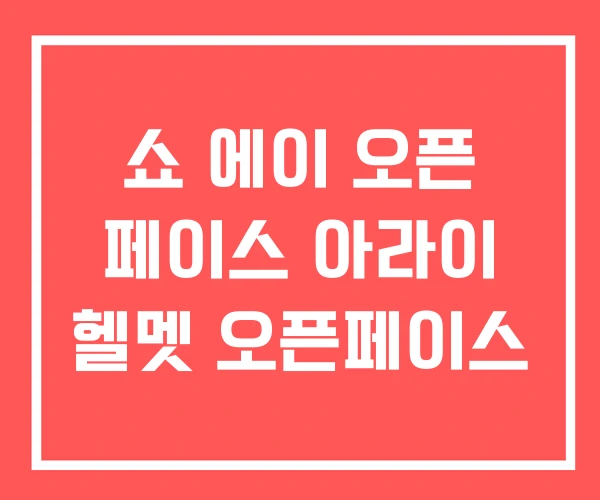 쇼 에이 오픈 페이스 아라이 헬멧 오픈페이스 쇼 에이 오픈 페이스 아라이 헬멧 오픈페이스