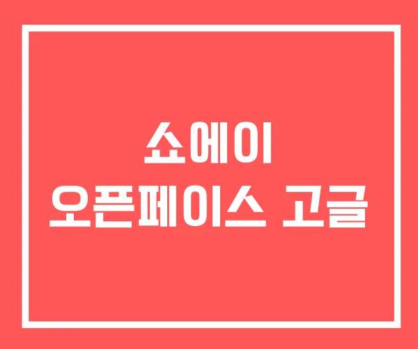 쇼에이 오픈페이스 고글 쇼에이 오픈페이스 고글