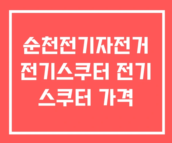순천전기자전거 전기스쿠터 전기 스쿠터 가격