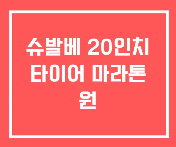 슈발베 20인치 타이어 마라톤 원 슈발베 20인치 타이어 마라톤 원