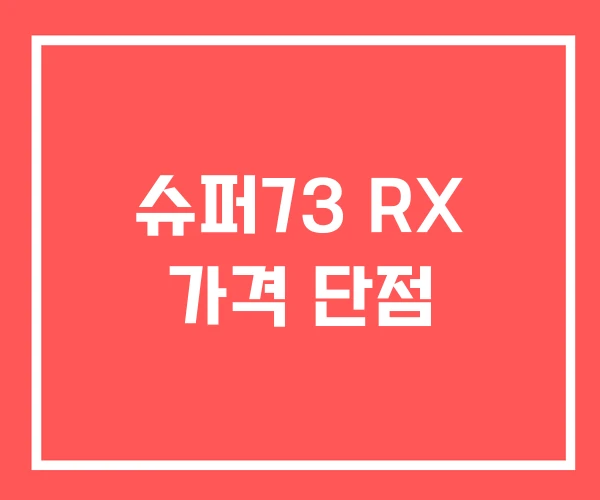 슈퍼73 RX 가격 단점