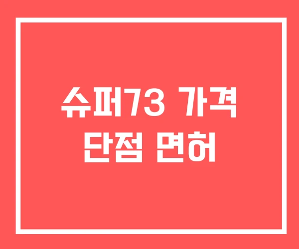 슈퍼73 가격 단점 면허 슈퍼73 가격 단점 면허