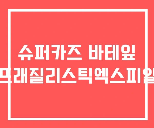 슈퍼카즈 바테잎 슈퍼칼리프래질리스틱엑스피알리도셔스 슈퍼카즈 바테잎 슈퍼칼리프래질리스틱엑스피알리도셔스