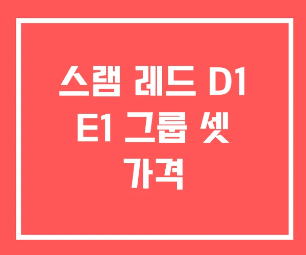 스램 레드 D1 E1 그룹 셋 가격