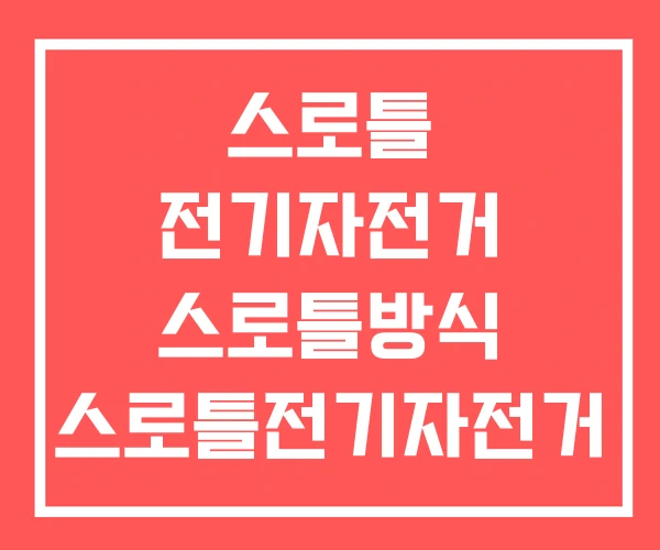스로틀 전기자전거 스로틀방식 스로틀전기자전거 리밋해제