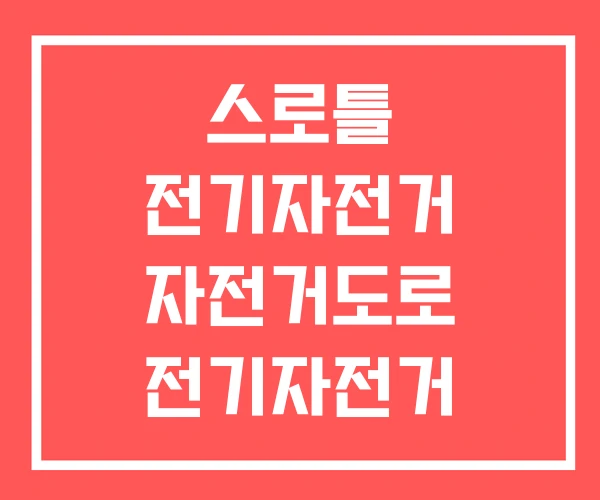 스로틀 전기자전거 자전거도로 전기자전거 도로교통법 겸용