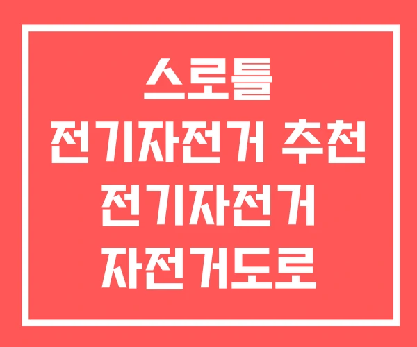 스로틀 전기자전거 추천 전기자전거 자전거도로 스로틀방식