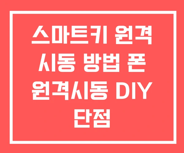 스마트키 원격 시동 방법 폰 원격시동 DIY 단점