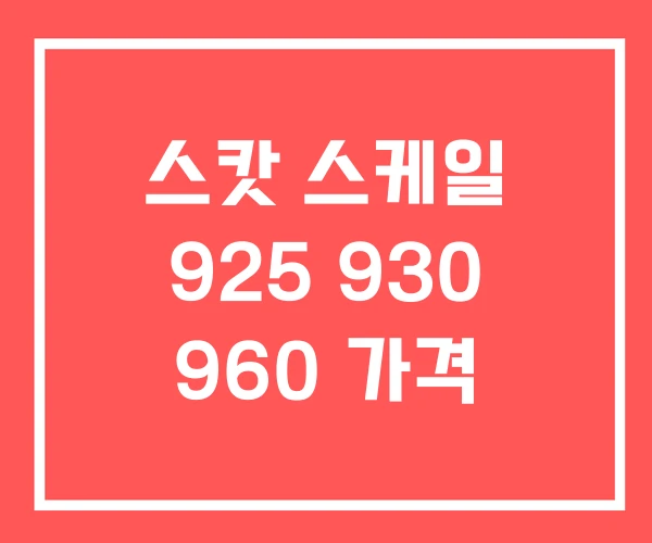 스캇 스케일 925 930 960 가격