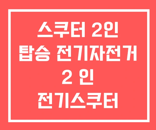 스쿠터 2인 탑승 전기자전거 2 인 전기스쿠터 스쿠터 2인 탑승 전기자전거 2 인 전기스쿠터