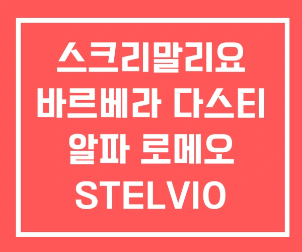 스크리말리요 바르베라 다스티 알파 로메오 STELVIO