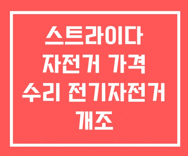 스트라이다 자전거 가격 수리 전기자전거 개조