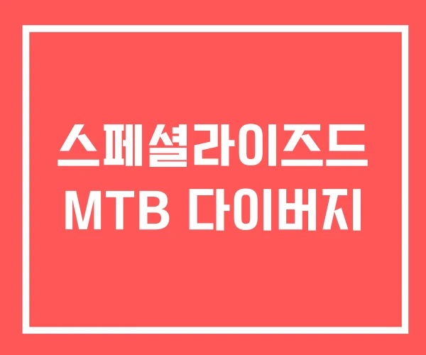 스페셜라이즈드 MTB 다이버지