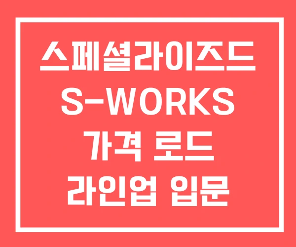 스페셜라이즈드 S-WORKS 가격 로드 라인업 입문