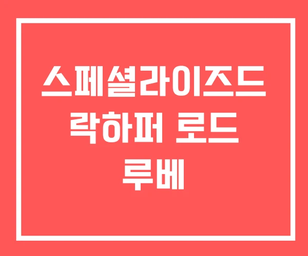 스페셜라이즈드 락하퍼 로드 루베