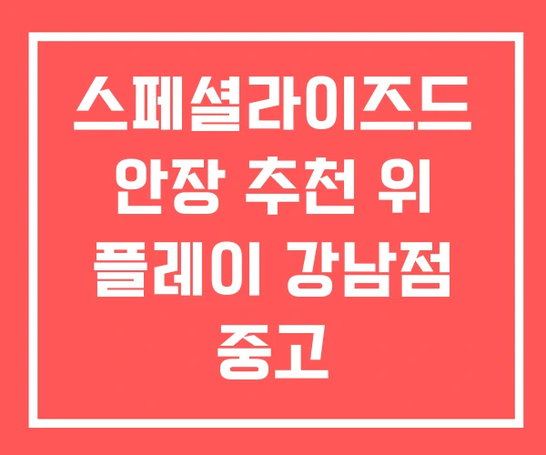스페셜라이즈드 안장 추천 위 플레이 강남점 중고