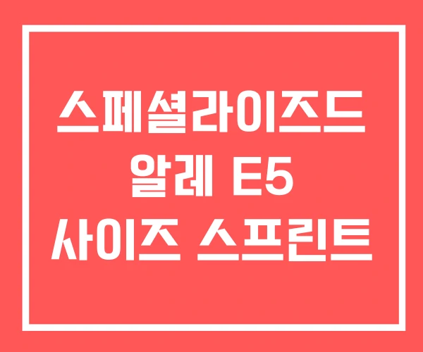 스페셜라이즈드 알레 E5 사이즈 스프린트