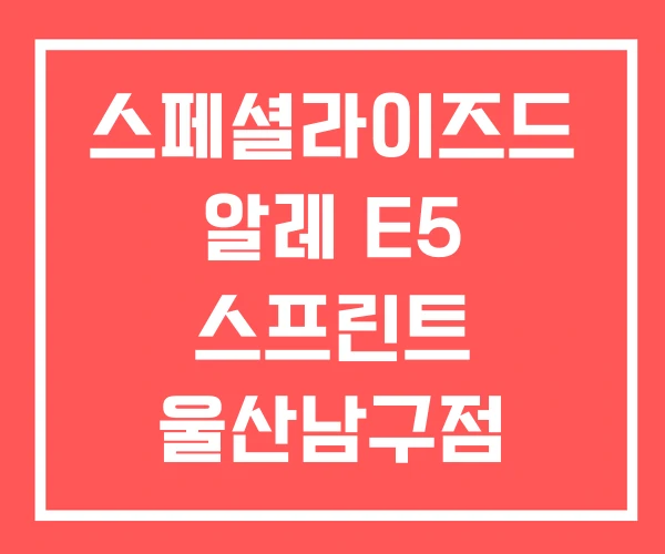스페셜라이즈드 알레 E5 스프린트 울산남구점