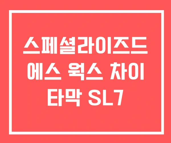 스페셜라이즈드 에스 웍스 차이 타막 SL7