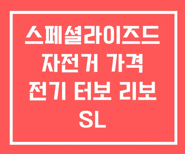 스페셜라이즈드 자전거 가격 전기 터보 리보 SL