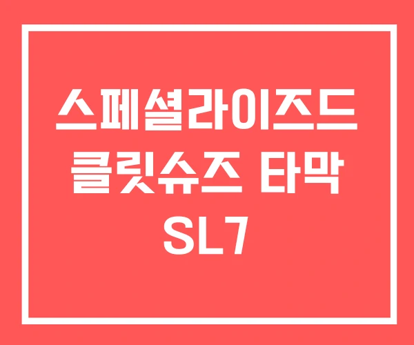스페셜라이즈드 클릿슈즈 타막 SL7