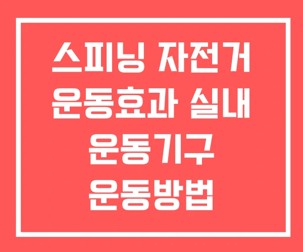 스피닝 자전거 운동효과 실내 운동기구 운동방법 스피닝 자전거 운동효과 실내 운동기구 운동방법