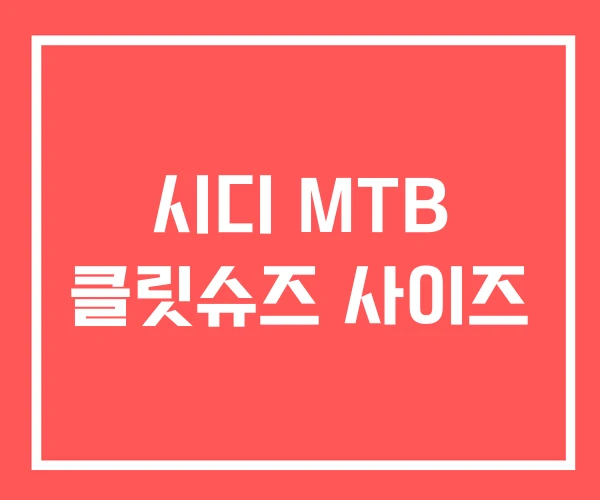 시디 MTB 클릿슈즈 사이즈
