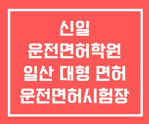 신일 운전면허학원 일산 대형 면허 운전면허시험장