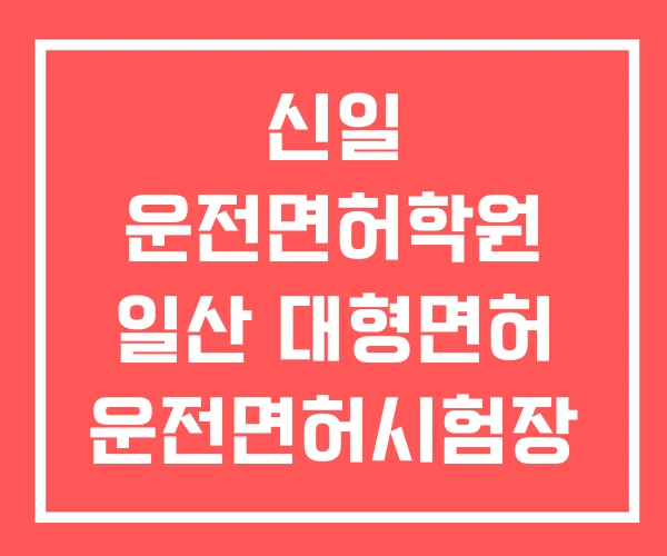 신일 운전면허학원 일산 대형면허 운전면허시험장 신일 운전면허학원 일산 대형면허 운전면허시험장