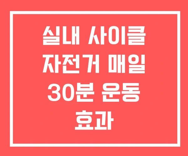 실내 사이클 자전거 매일 30분 운동 효과 실내 사이클 자전거 매일 30분 운동 효과