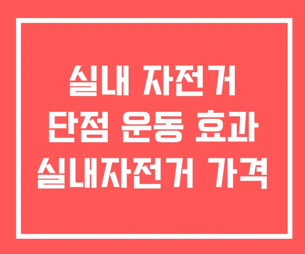 실내 자전거 단점 운동 효과 실내자전거 가격 실내 자전거 단점 운동 효과 실내자전거 가격