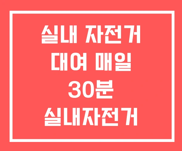 실내 자전거 대여 매일 30분 실내자전거 고르기 실내 자전거 대여 매일 30분 실내자전거 고르기