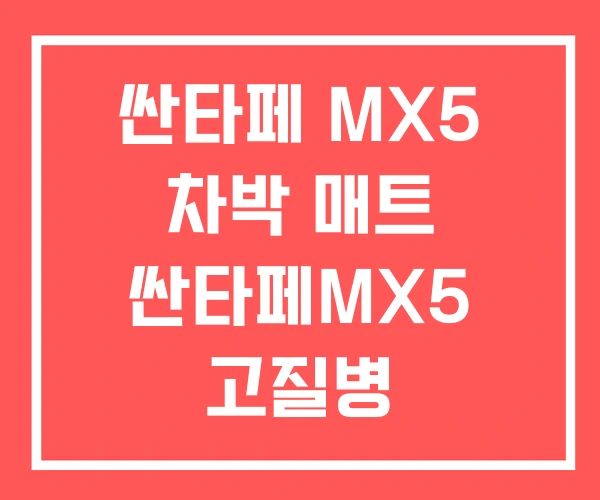 싼타페 MX5 차박 매트 싼타페MX5 고질병