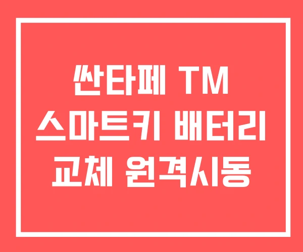 싼타페 TM 스마트키 배터리 교체 원격시동