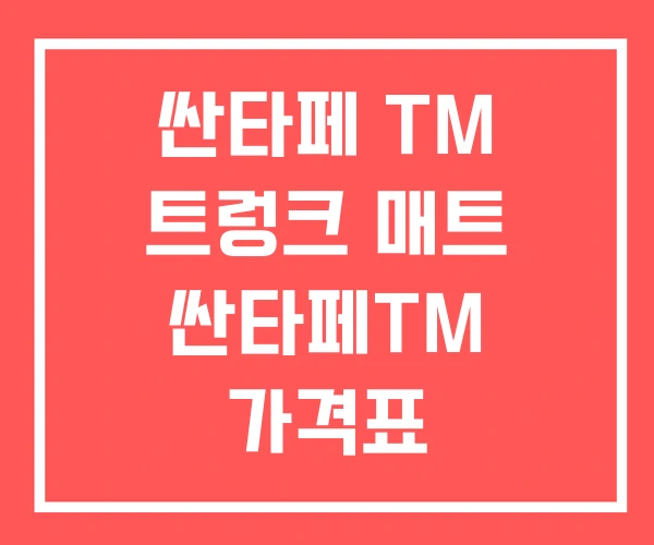 싼타페 TM 트렁크 매트 싼타페TM 가격표