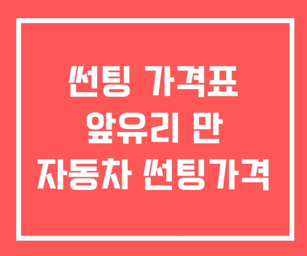 썬팅 가격표 앞유리 만 자동차 썬팅가격