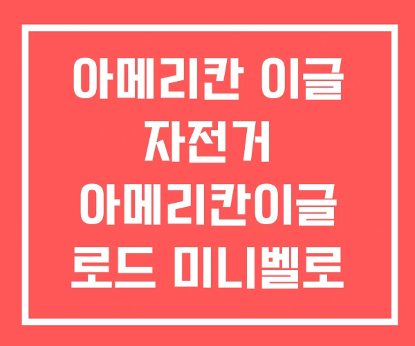 아메리칸 이글 자전거 아메리칸이글 로드 미니벨로 아메리칸 이글 자전거 아메리칸이글 로드 미니벨로