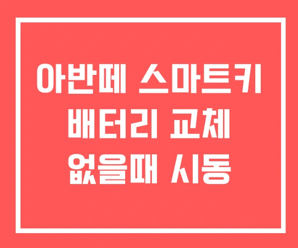 아반떼 스마트키 배터리 교체 없을때 시동
