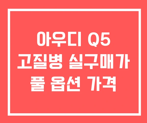 아우디 Q5 고질병 실구매가 풀 옵션 가격