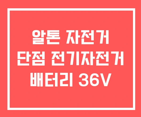 알톤 자전거 단점 전기자전거 배터리 36V