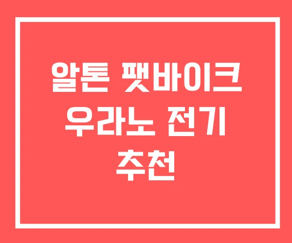 알톤 팻바이크 우라노 전기 추천