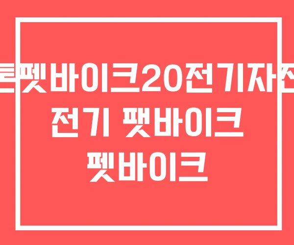 알톤펫바이크20전기자전거 전기 팻바이크 펫바이크