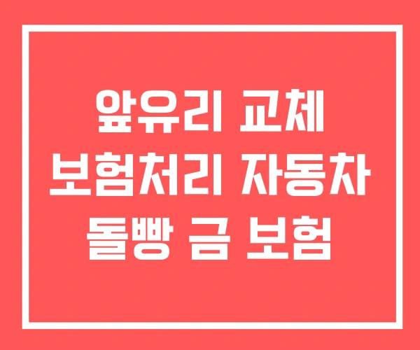 앞유리 교체 보험처리 자동차 돌빵 금 보험