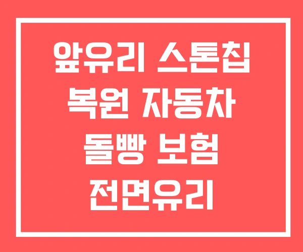 앞유리 스톤칩 복원 자동차 돌빵 보험 전면유리